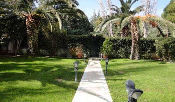 Κήπος - Garden